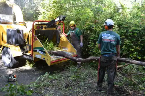 tree services Heritage Village